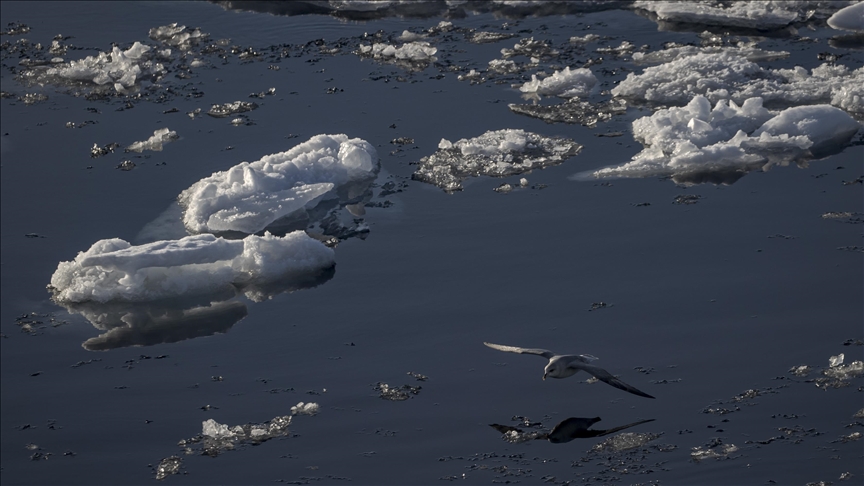 Greenland's melting ice in Arctic geopolitics: A temptation for Trump