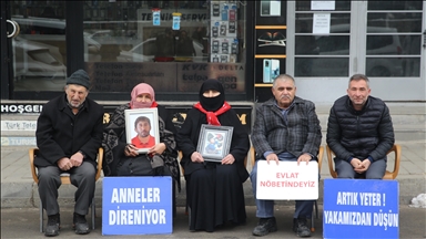 Malbatên Mûşî çalakiya xwe ya li pêşiya avahiya DEM Partiyê domand