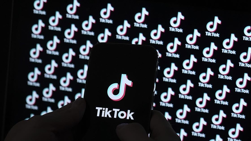 US President-elect Trump will 'find a way' to preserve TikTok, says incoming national security adviser