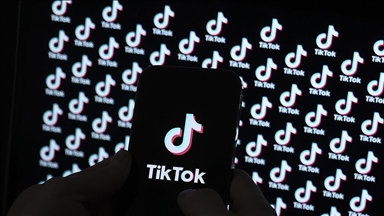 US President-elect Trump will 'find a way' to preserve TikTok, says incoming national security adviser