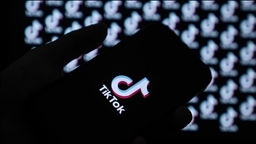 US TikTok users turn to RedNote amid ban fears