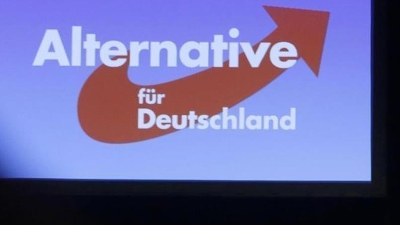 UN human rights office criticizes German far-right party's 'flight ticket' campaign