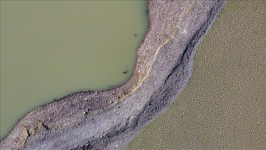 WMO says need for Paris Agreement 'more pressing than ever' after withdrawal decision of US WMO says need for Paris Agreement 'more pressing than ever' after withdrawal decision of US