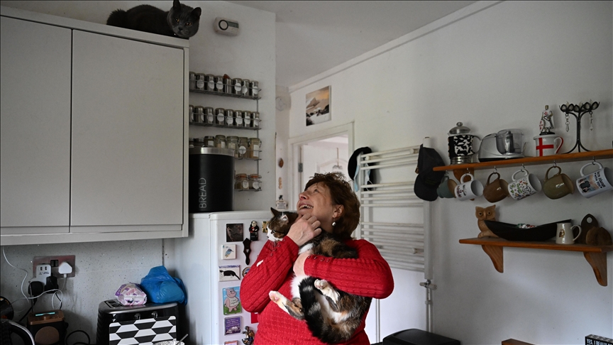 Stray cats, injured wild birds unite 2 London friends