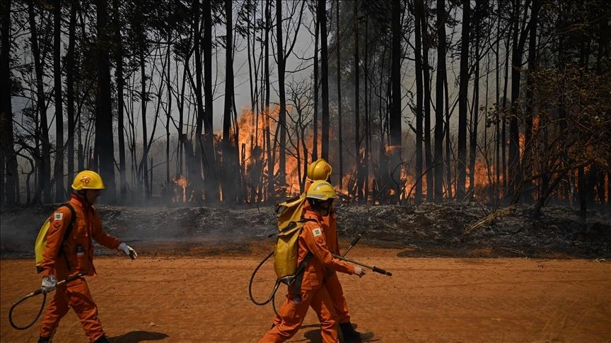 Zjarret pyjore në Brazil në vitin 2024 shndërruan në hi një zonë më të madhe se sipërfaqja e Italisë