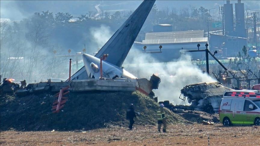 Probe into South Korea air crash finds feathers, bloodstains in plane engines
