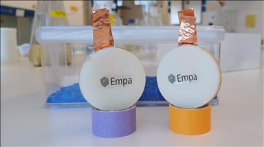 3D-printed fungi batteries: A path to a biodegradable tech future?