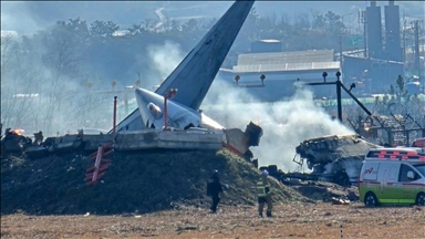 Probe into South Korea air crash finds feathers, bloodstains in plane engines 