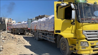 Egypt announces launch of largest aid convoy to Gaza