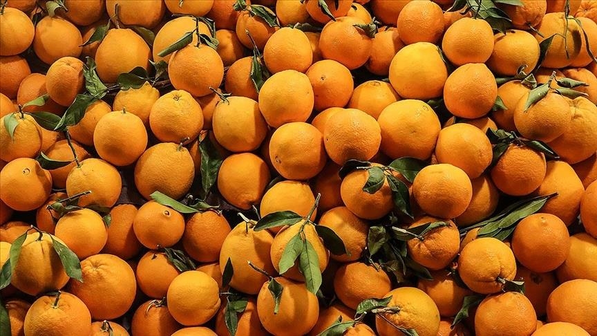 Türkiye'nin narenciye ihracatını Doğu Akdeniz illeri sırtladı  