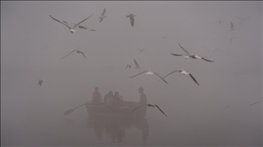 Coins and contaminants: How Delhi divers make a living in the polluted Yamuna waterway