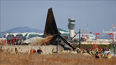 Një avion merr flakë në aeroportin e Koresë së Jugut