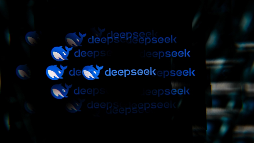 China's cost-effective DeepSeek AI takes world by storm