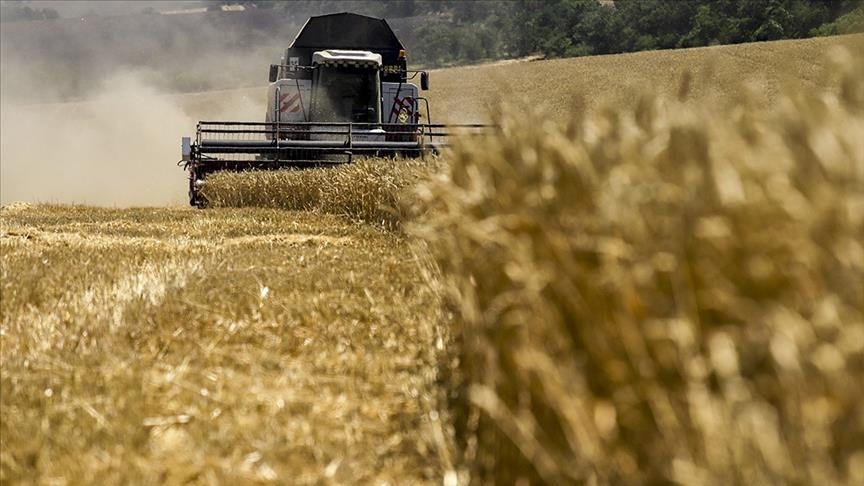 Russia plans to export 57M tons of grain in agricultural season Russia plans to export 57M tons of grain in agricultural season