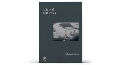 A Tale of Both Poles