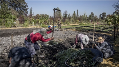 Mexican economy posts contraction for 1st time in 3 years