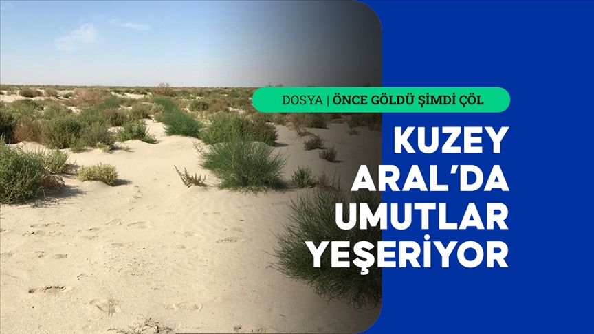 Aral Gölü'ne kıyıdaş ülkeler, kuruyan bölgeyi ağaçlandırmaya çalışıyor