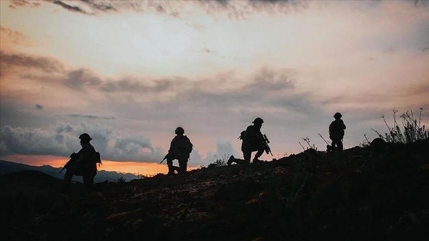 2 more PKK terrorists surrender to Turkish security forces