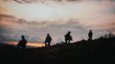 2 more PKK terrorists surrender to Turkish security forces