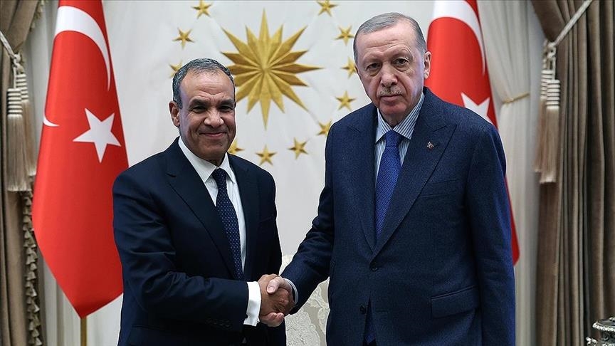 Turkish president receives Egyptian foreign minister in Ankara