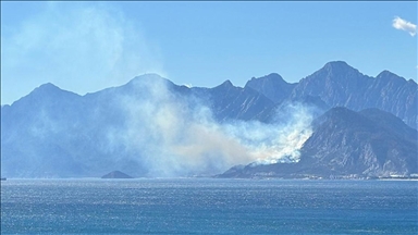 Antalya'da ormanlık alanda çıkan yangına müdahale ediliyor