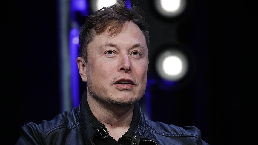 'Don't have any plans': Elon Musk rejects TikTok buyout idea