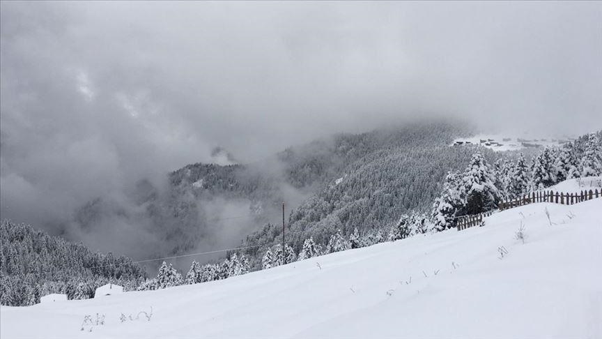 Snow avalanche leaves dozens stranded at popular Japanese hot-spring resort