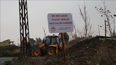 Hatay'da kuş gribi görülen mahalle karantinaya alındı