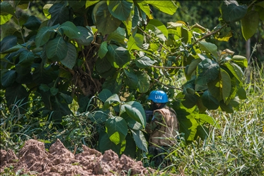 Centrafrique : décès d'un Casque bleu tunisien 