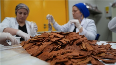 Paça çorbasındaki kolajenden "cips" üreten Türk akademisyen ihracata başladı