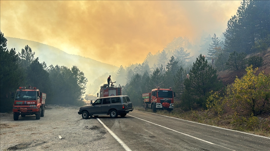 Arab, Mediterranean countries plan to create network to combat wildfires