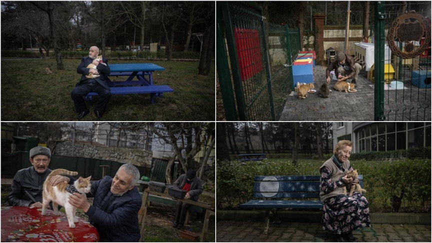 Huzurevi sakinleri patili dostları için "kedi huzurevi" kurdu