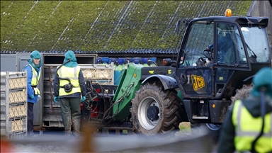 Thousands of birds culled in Northern Ireland amid suspected bird flu