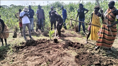 ‘Nothing to eat’: South Sudan farmers suffer as climate shocks devour crops