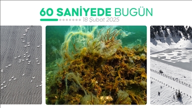 60 saniyede bugün (18 Şubat 2025)