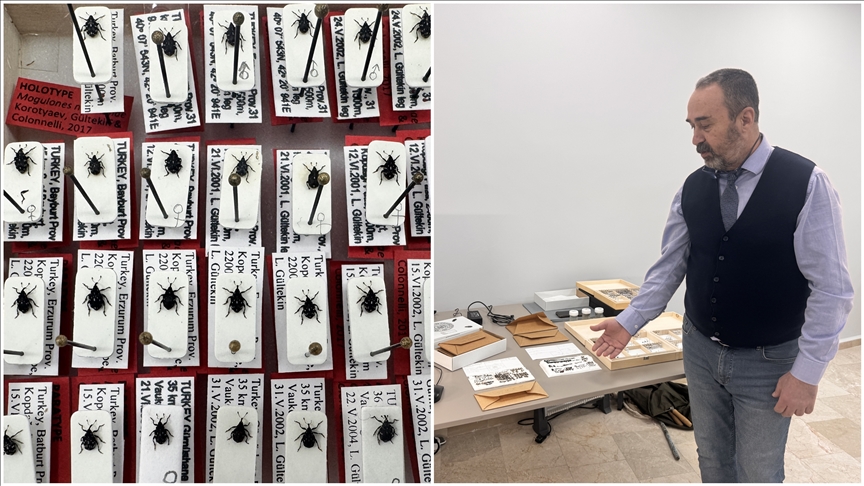 Erzurum'da bilim insanı, 25 yılda 75 türü simge isimlerle literatüre kazandırdı