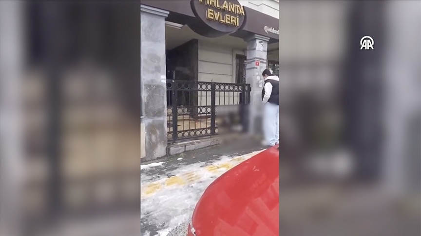Bahçelievler'de Pitbull cinsi köpeğin saldırdığı kedi öldü
