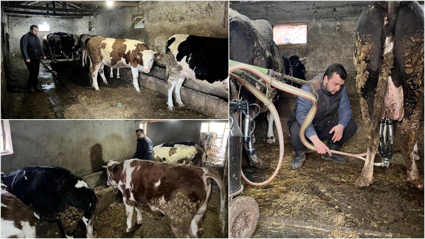 Tekirdağlı genç çiftçi devlet desteğiyle kurduğu çiftlikte ayda 45 ton süt üretiyor 