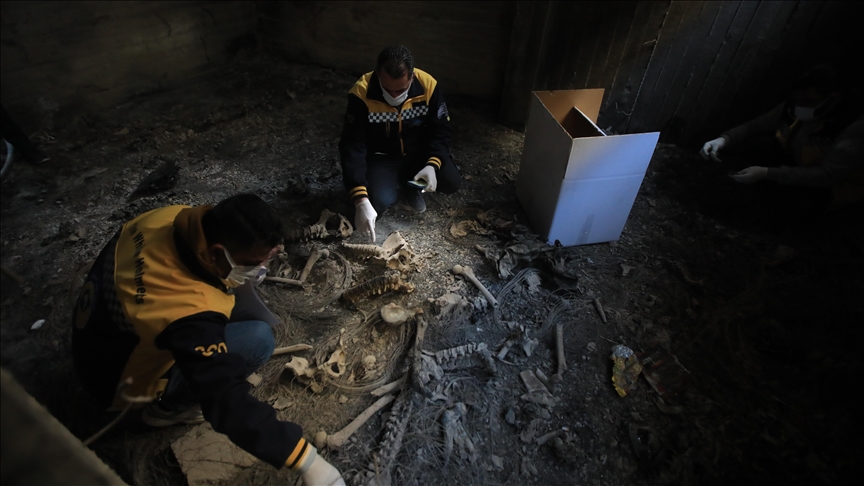 Mass grave found in building used by deposed Assad-regime in Syrian capital
