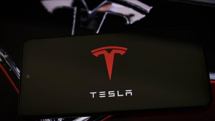 Tesla sales fall by almost half in Europe