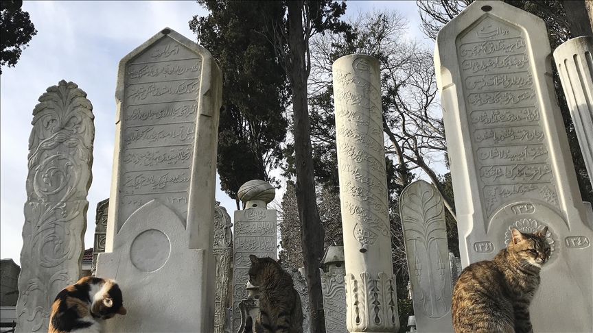 Tombs and traditions: How Istanbul's burial grounds weave together Türkiye's largest city