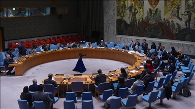 Belgium criticizes UN Security Council’s failure to uphold fundamental principles of UN Charter