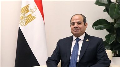 Egypt calls for ending occupation of Syrian territories, rejects Palestinian displacement from Gaza