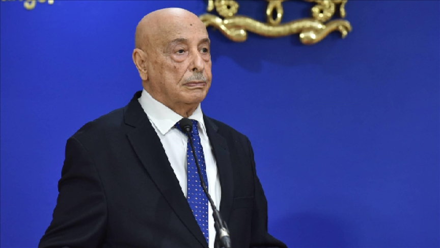 ليبيا.. رئيس مجلس النواب يبحث مع المبعوثة الأممية تشكيل حكومة موحدة