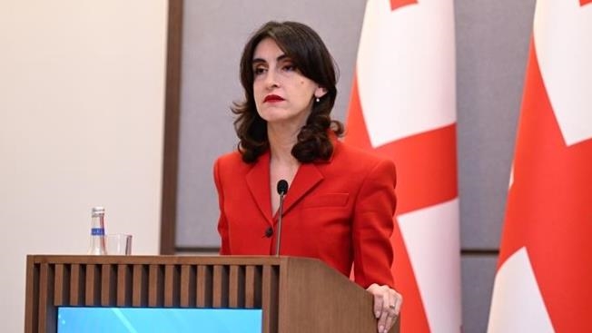 Глава МИД Грузии: Турция - особый друг Грузии