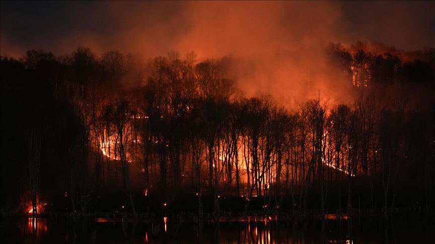 Wildfire in northeast Japan continues to spread, with firefighting underway