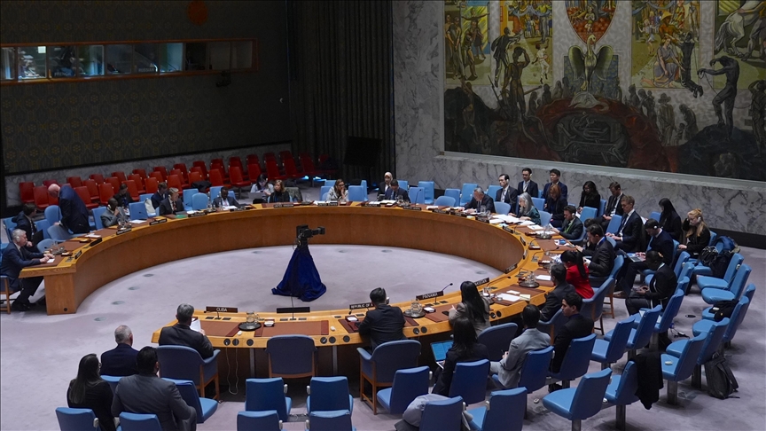 Denmark assumes UN Security Council presidency for March Denmark assumes UN Security Council presidency for March