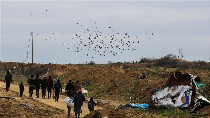 Egypt, Tunisia reject any measures to displace Palestinians from their land