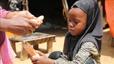 PAM : La sécheresse et les conflits menacent 1 million de Somaliens supplémentaires d'insécurité alimentaire critique