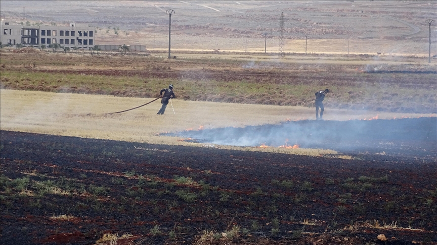 Syrian civil defense teams extinguish 20 fires in Latakia, Tartus